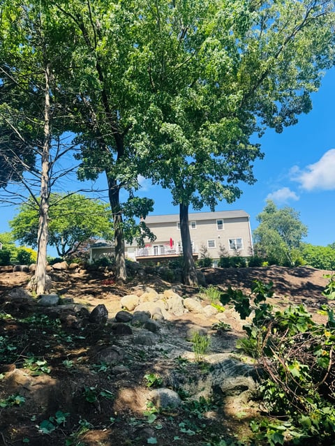 A gray two-story house on a hillside surrounded by tall trees and rocky terrain under a blue sky