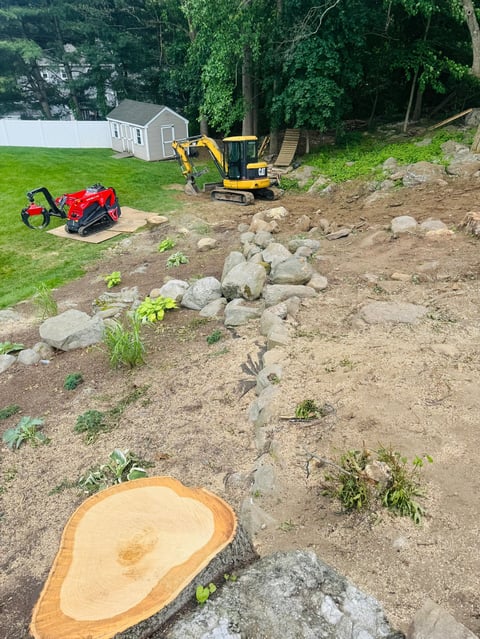 Construction site with felled tree trunk in foreground, red machinery and yellow excavator, clearing land near residential buildings and forest