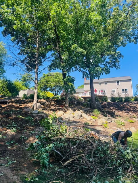 Person clearing garden debris and branches in a yard with large trees and a house in the background on a sunny day